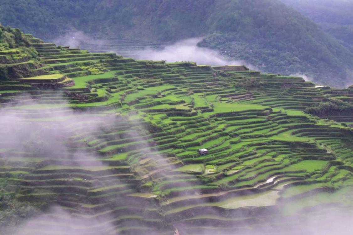 Vilma's Homestay Bontoc  Luaran gambar